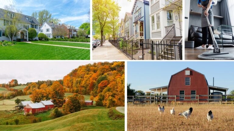 housesitting estados unidos