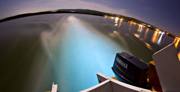 Laguna luminosa de Jamaica