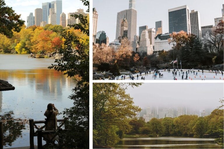 mejor temporada para estudiar en nueva york