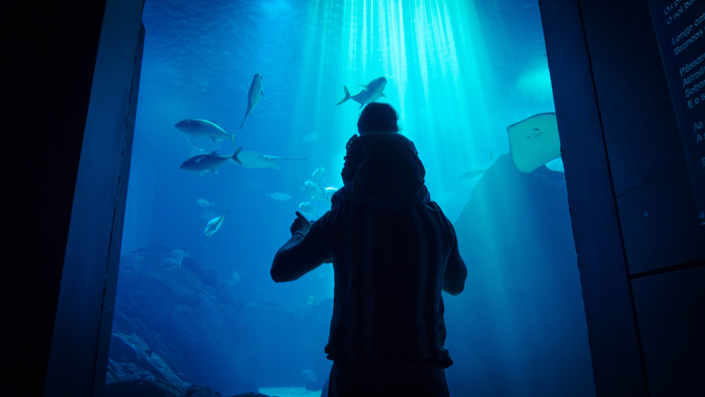 Qué ver en Lisboa con niños: oceanario de Lisboa