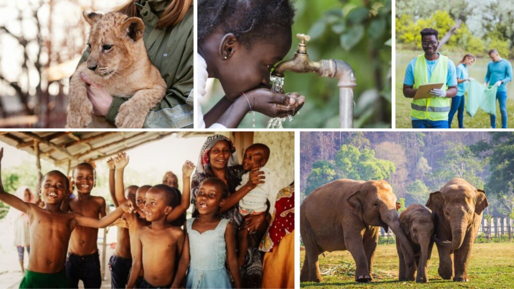programas de voluntariadoo en áfrica programas de voluntariadoo en áfrica