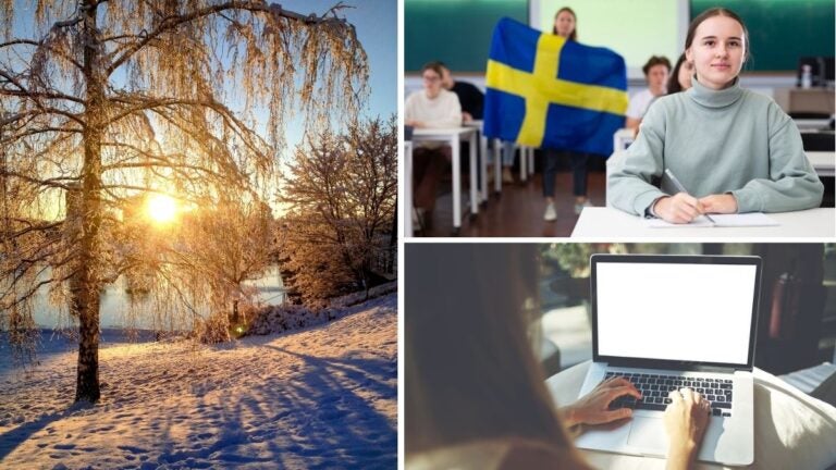 Paisaje, trabajo y estudio en Suecia