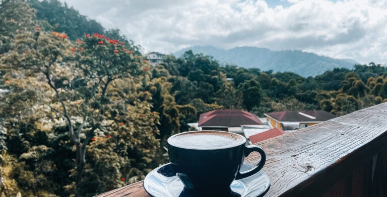 Vista de las Blue Mountains, Jamaica