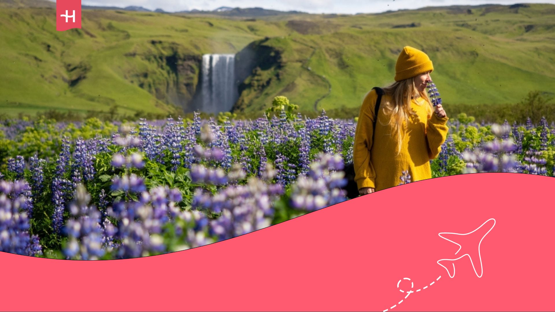 Una mujer de cabello rubio con un suéter amarillo en un campo de lupinos morados, enmarcado por la cascada de Skogafoss en Islandia.