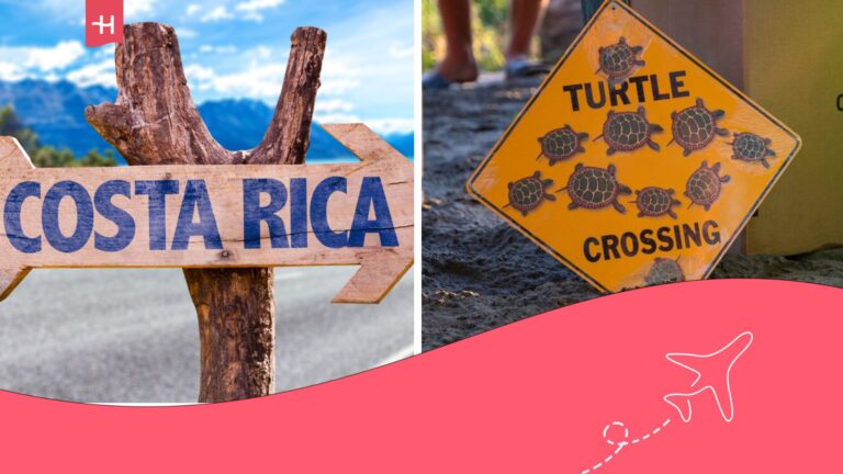Flecha sobre un árbol con el nombre de Costa Rica y en otra imagen una señal advirtiendo del paso de tortugas.