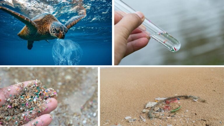 voluntariado en hawái, limpieza de playas