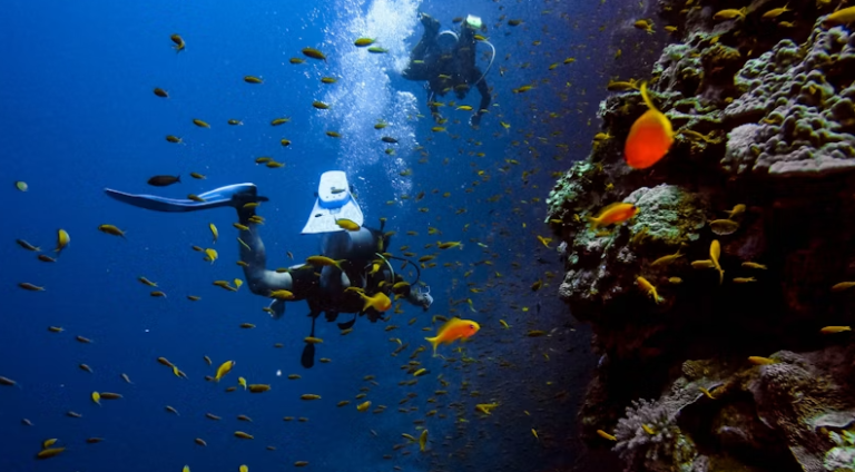 Bucear en el mar rojo