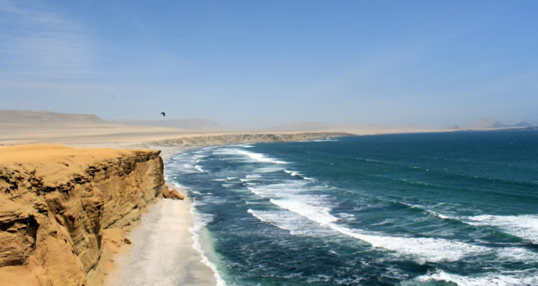Parque Reserva Nacional De Paracas