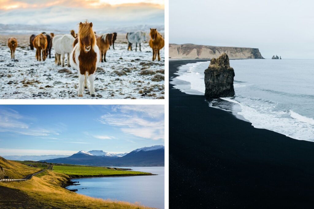 Paisajes de Islandia, una playa de arena negra, caballos irlandeses y montañas.