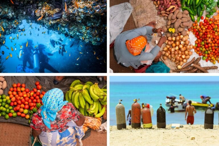 Mercado con frutas y verduras en Cabo Verde y personas practicando buceo.