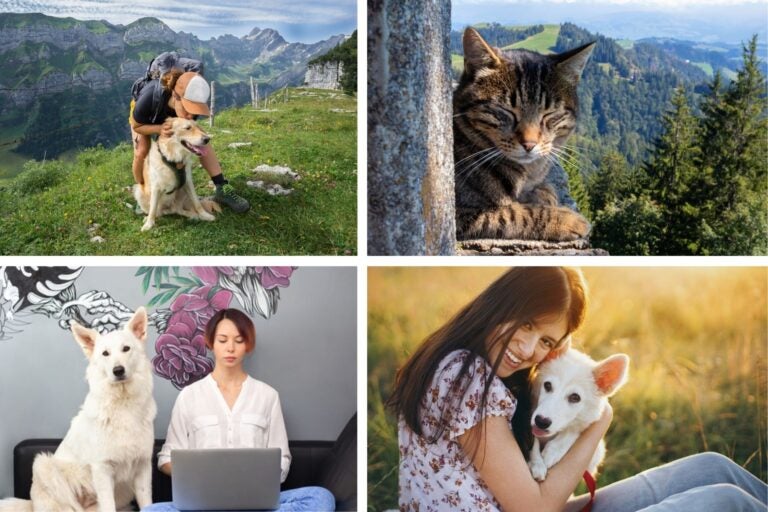 Fotos de perros y gatos en Suiza con paisajes verdes montañosos y una mujer teletrabajando con un perro blanco al lado.