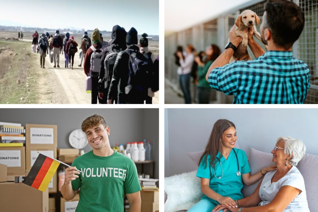 Chico con bandera alemana y camiseta de voluntario, en otra imagen refugiados caminando, una enfermera cuidando a una señora y un chico cogiendo en brazos a un cachorro.