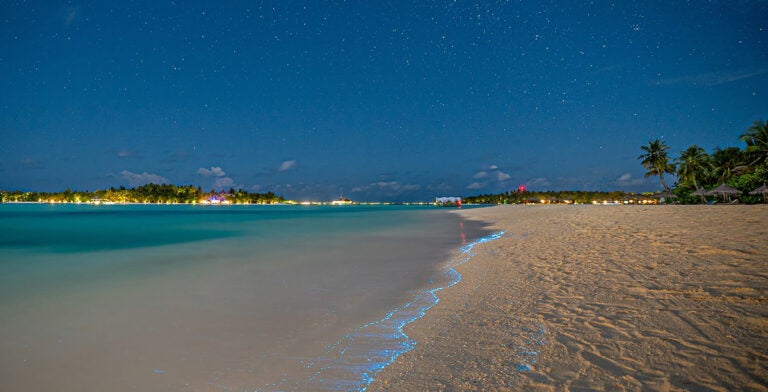 Luminiscencia del plancton en Maldivas