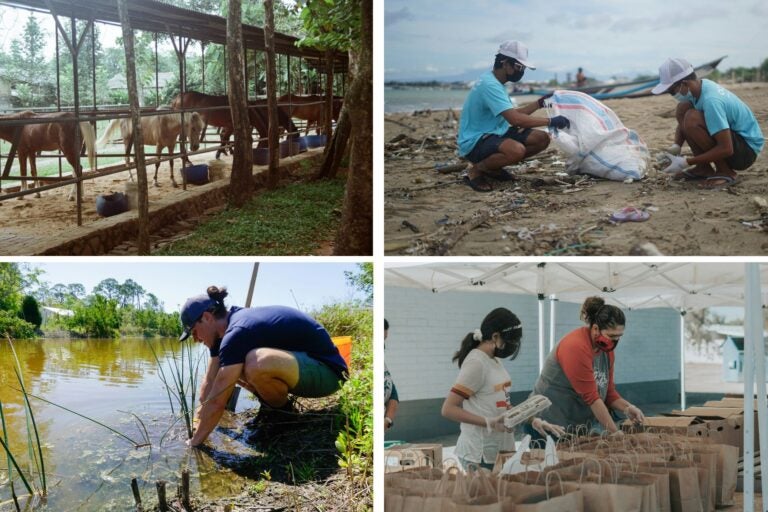 Imágenes de voluntarios recogiendo basura de la playa, plantando plantas, repartiendo comida y refugio de caballos.