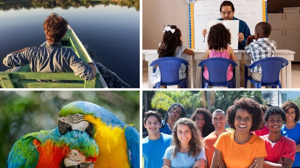 Tipo de voluntariados en Brasil 2025