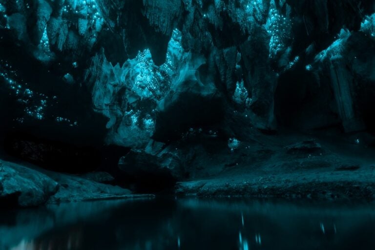 Cuevas de Waitomo