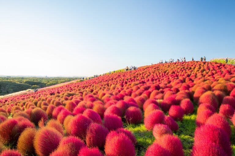 Parque Costero Hitachi