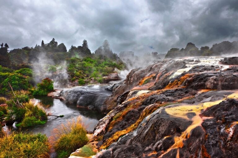 Géiseres de Te Puia, Parque Geotérmico de Rotorua