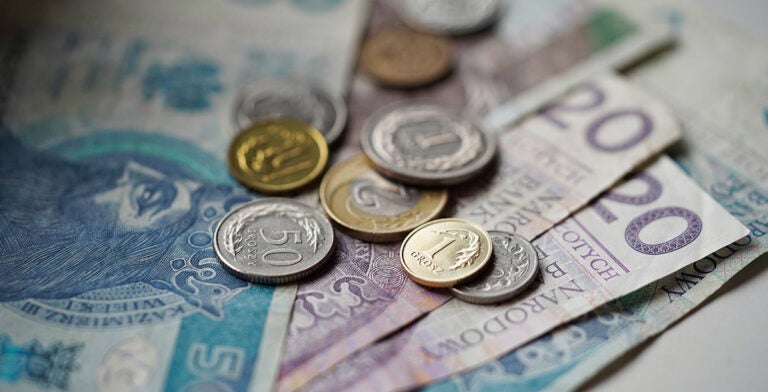 Esloti polaco: monedas y billetes