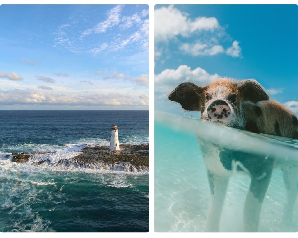 requisitos para viajar a las bahamas desde colombia, isla de los cerditos, lugares mágicos en las bahamas, planes playeros