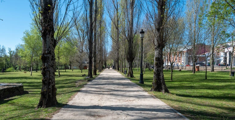 Sendero en el parque de la Isla