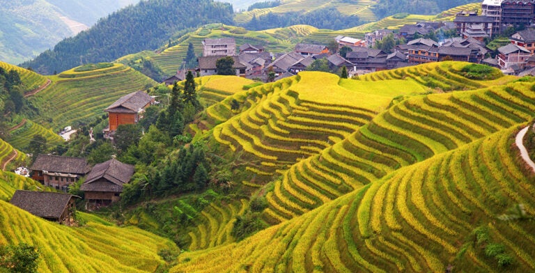 Terrazas de arroz de Longji