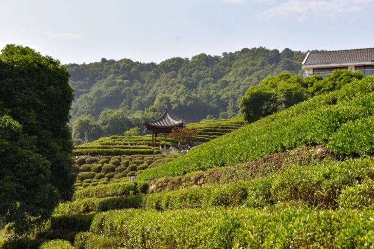 Visitar Hangzhou en Shanghái