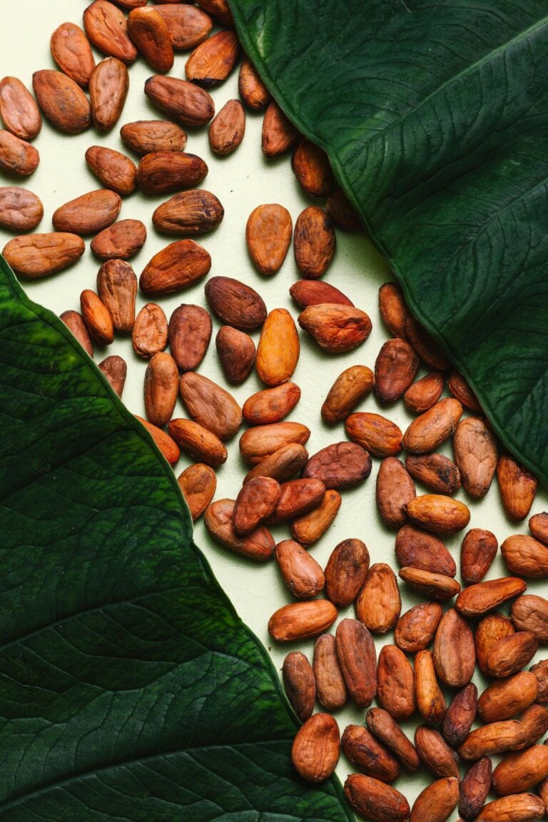 Comprar cacao en México