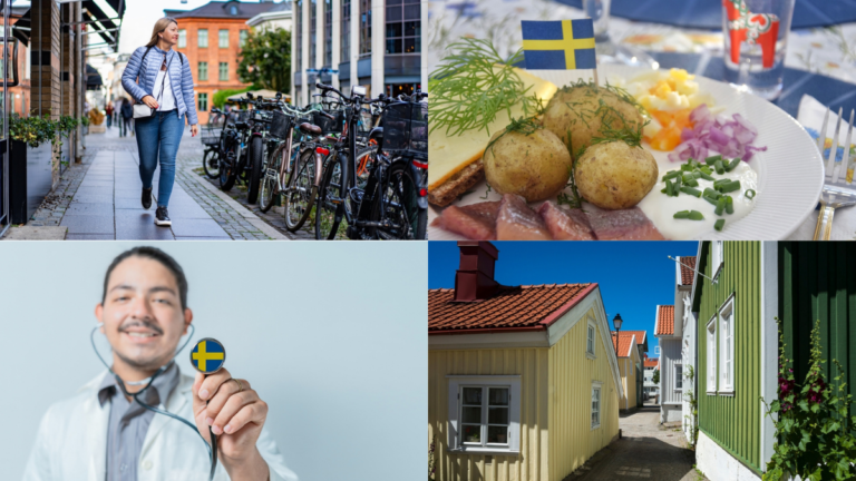 Costo de vivienda, salud, transporte y alimentación en Suecia.