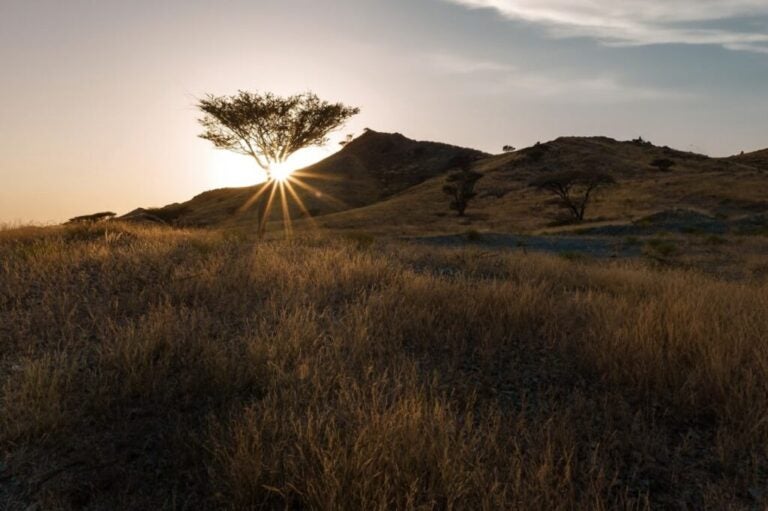 Excursiones en Dubai