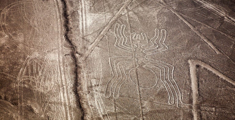 Geoglifo de la araña, líneas de Nazca