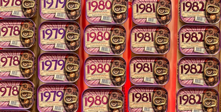 Latas de sardinas en conserva