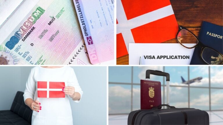 pasos para conseguir la visa working holiday dinamarca