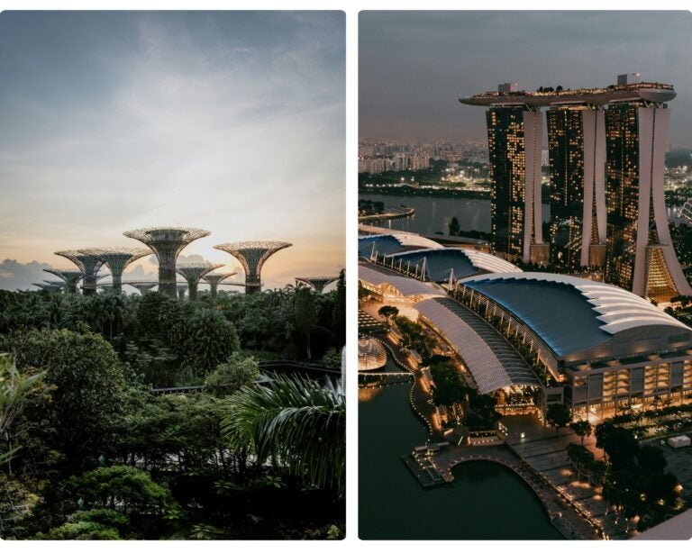 Gardens by the Bay ocupa 101 hectáreas y alberga más de un millón de plantas de todo el mundo. 