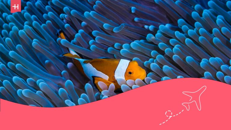 escuelas, precios y puntos de buceo en búzios