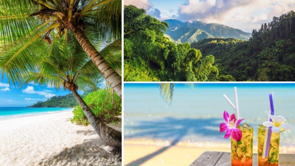 cuál es el mejor seguro de viaje para jamaica
