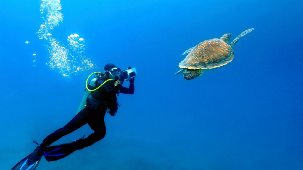 Buceo en la profundidad del mar en Río de Janeiro.