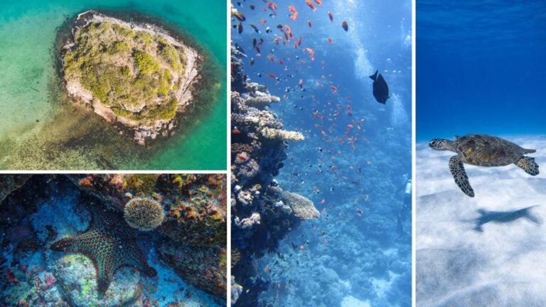 guía de buceo en búzios