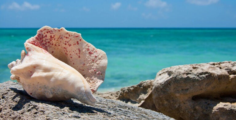 Islas Turcas y Caicos