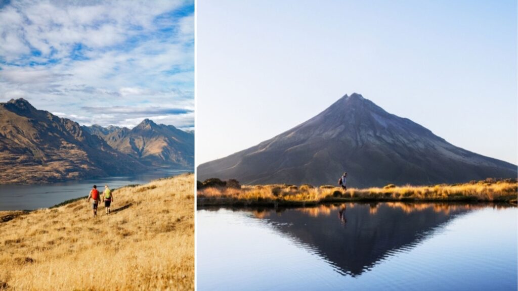 los mejores seguros para viajar a nueva zelanda los mejores seguros para viajar a nueva zelanda