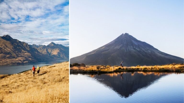 los mejores seguros para viajar a nueva zelanda
