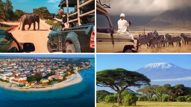 Seguros de viaje para hacer turismo en Tanzania. En la imagen: paisajes con animales y la playa de Zanzíbar.