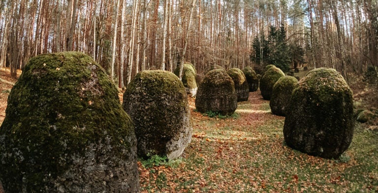 Rocas enormes en el bosque de Europos Parkas