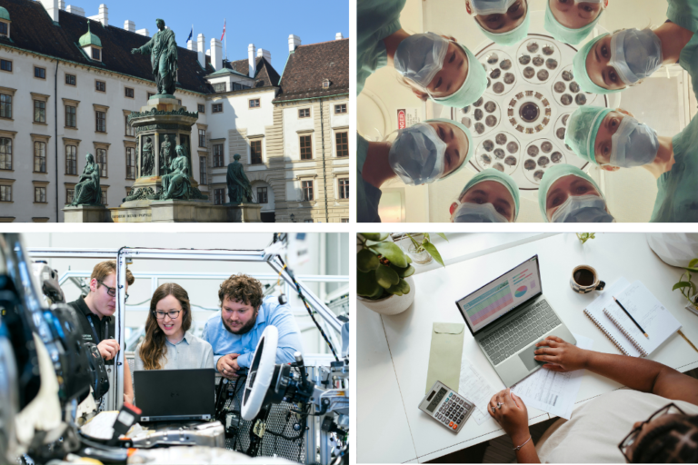 Imágenes que representan los trabajos de mayor demanda en Viena. 