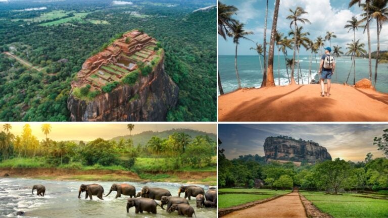 ventajas de vivir en un coliving en sri lanka ventajas de vivir en un coliving en sri lanka