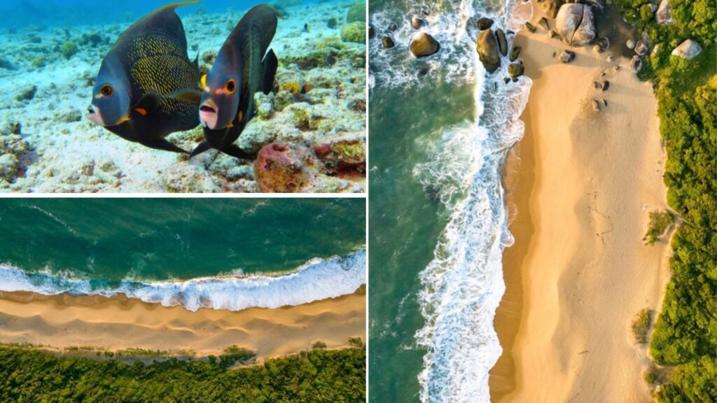 Playa Taquaras, Camboriú