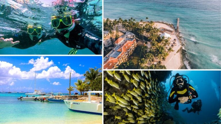 buceo en bayahíbe, precios