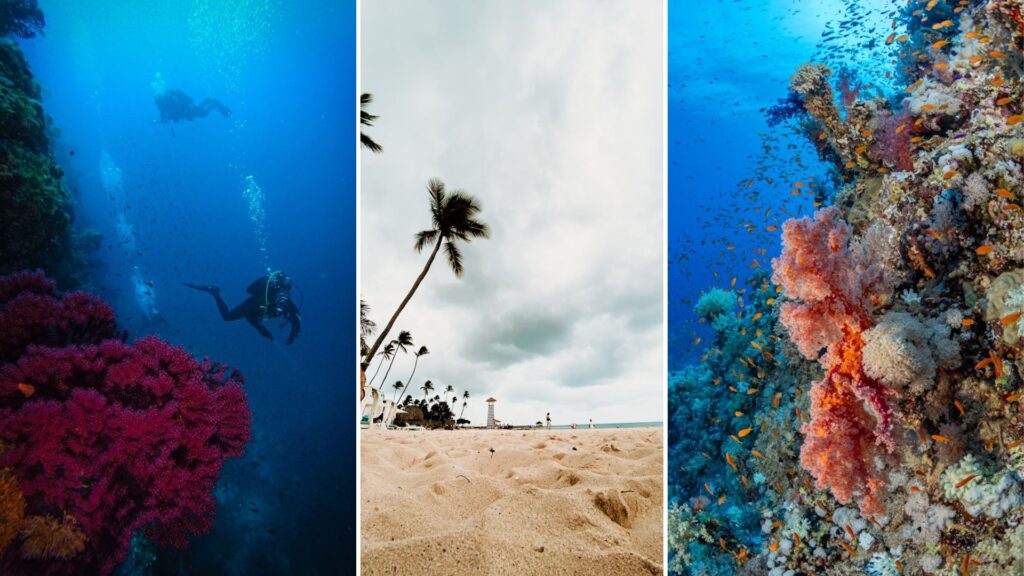 buceo en bayaíbe, rep dominicana buceo en bayaíbe, rep dominicana
