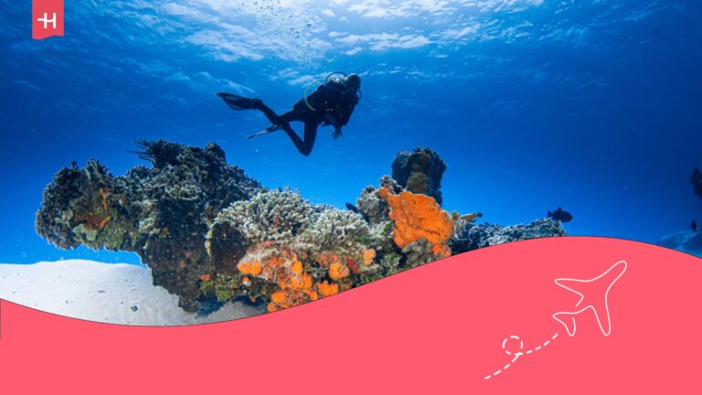 guía de buceo en cozumel