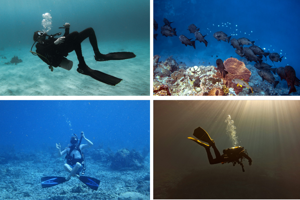 Imágenes de personas bajo el agua disfrutando del buceo en Curazao